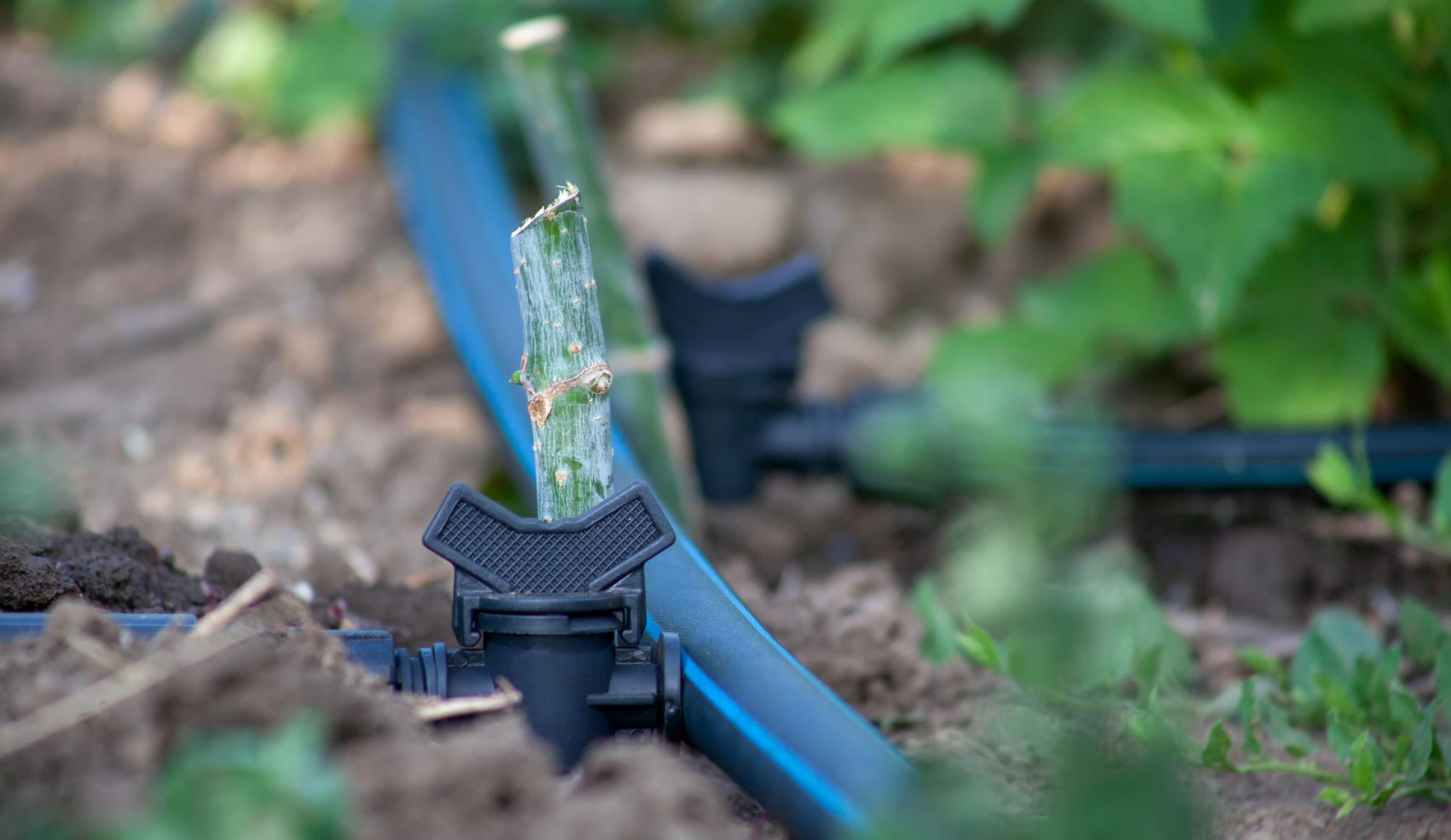 Installation d'un arrosage automatique enterré pour pelouse : le guide étape par étape 2 paysagiste creuse une tranchée pour installation arrosage automatique enterré pelouse