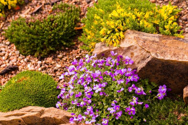 Création d'un massif fleuri et d'une allée dans un jardin contemporain