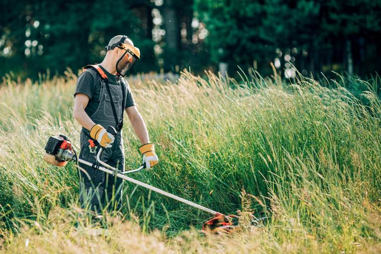 Débroussaillage d'un terrain à la débroussailleuse thermique par un professionnel