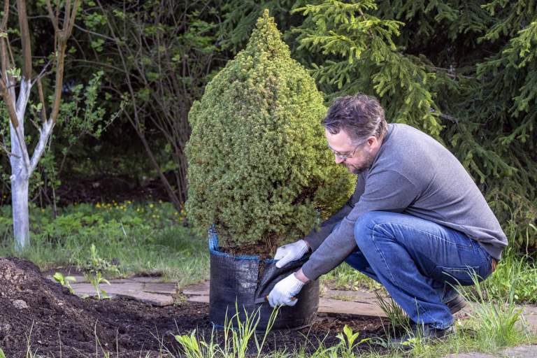 Jardinier paysagiste plantant des arbustes dans un massif
