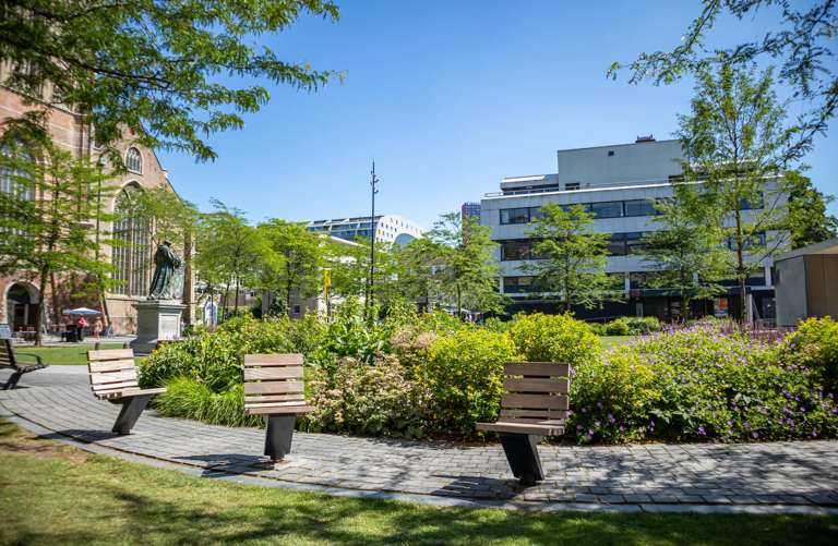 Entretien des espaces verts d'une copropriété par des paysagistes