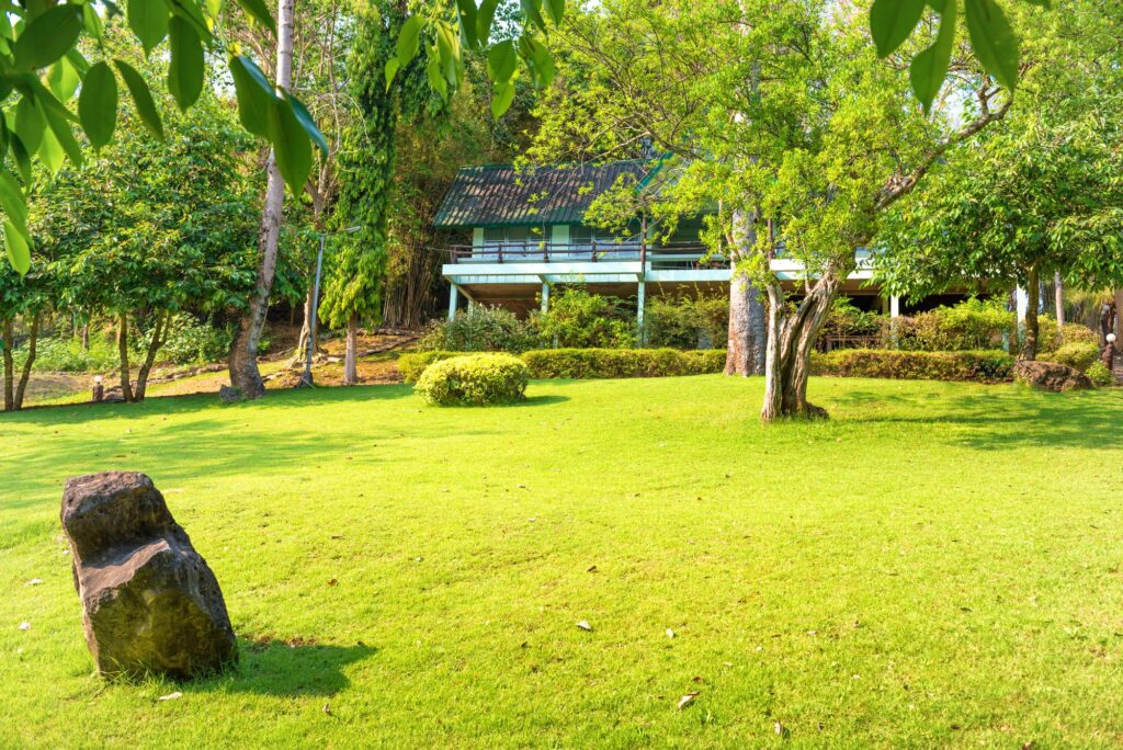 Gazon naturel ou synthétique : meilleur choix pour votre jardin et devis personnalisé